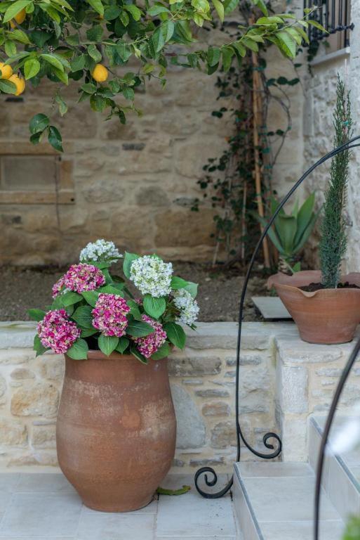 Cretan Rhapsody - Rustick Villa In Siva Sívas Exterior foto